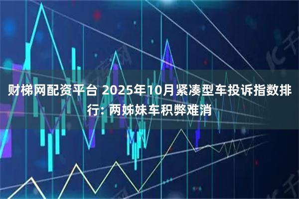 财梯网配资平台 2025年10月紧凑型车投诉指数排行: 两姊妹车积弊难消