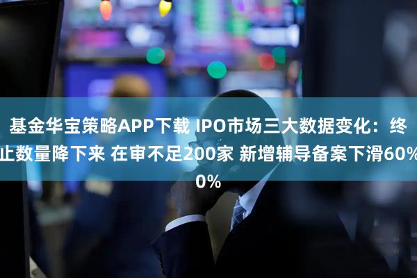 基金华宝策略APP下载 IPO市场三大数据变化：终止数量降下来 在审不足200家 新增辅导备案下滑60%