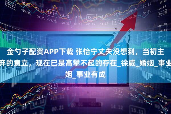金勺子配资APP下载 张怡宁丈夫没想到，当初主动舍弃的袁立，现在已是高攀不起的存在_徐威_婚姻_事业有成