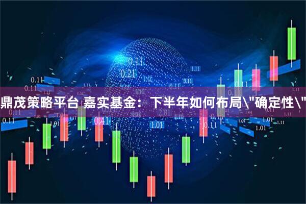 鼎茂策略平台 嘉实基金：下半年如何布局＂确定性＂