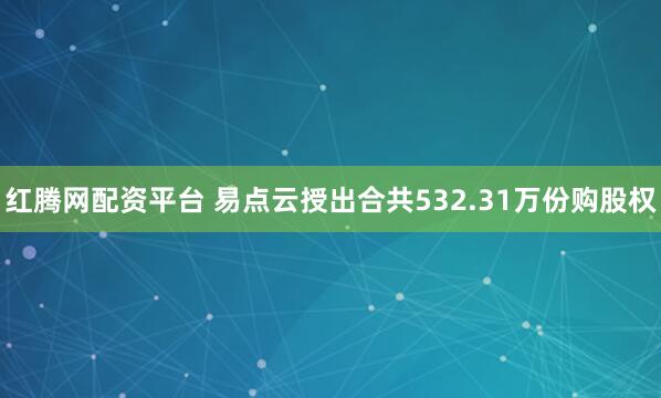 红腾网配资平台 易点云授出合共532.31万份购股权
