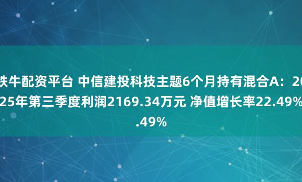 铁牛配资平台 中信建投科技主题6个月持有混合A：2025年第三季度利润2169.34万元 净值增长率22.49%